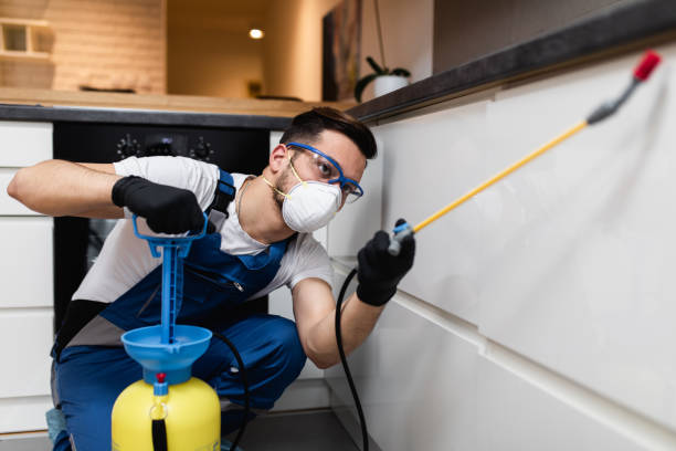 Reliable Village Of Oak Creek, AZ Pest Control Solutions