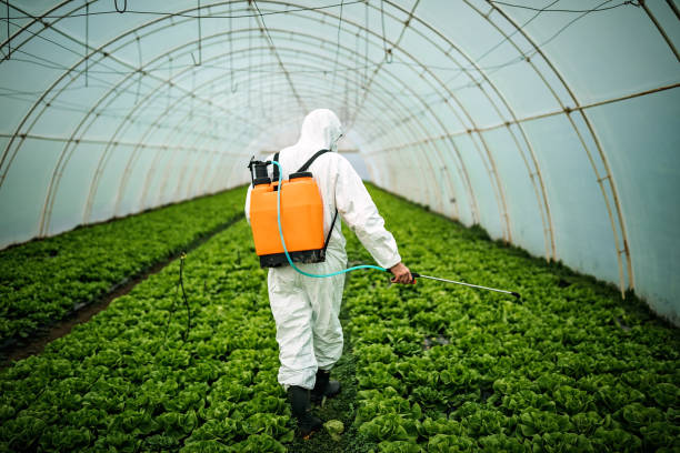 Best Pest Prevention Services  in Village Of Oak Creek, AZ