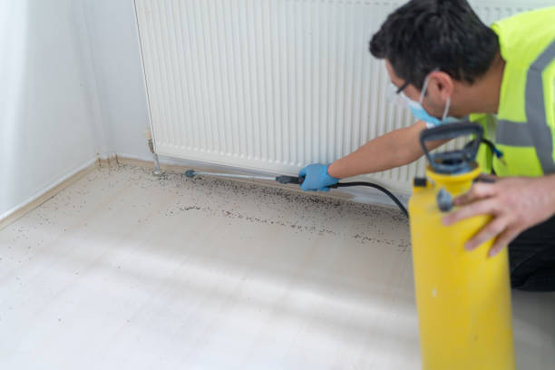 Best Emergency Pest Control  in Village Of Oak Creek, AZ