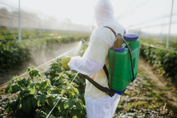 Trusted Village Of Oak Creek, AZ Pest Control Experts